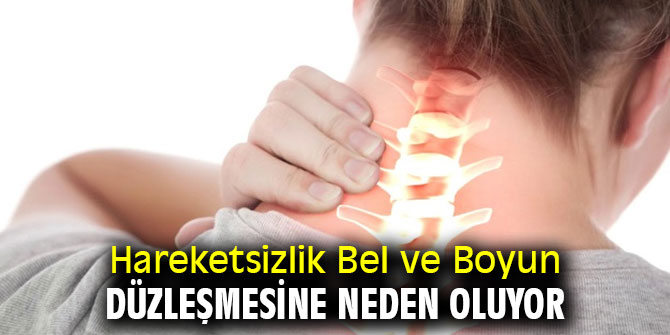Dikkat! Hareketsizlik Bel ve Boyun Düzleşmesine Neden Oluyor