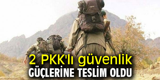2 PKK'lı güvenlik güçlerine teslim oldu