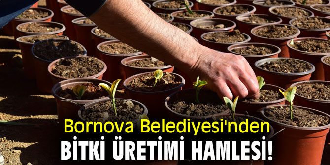 Bornova Belediyesi'nden bitki üretimi hamlesi!