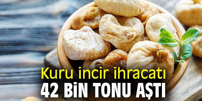 Kuru incir ihracatında 158 milyon dolar döviz!