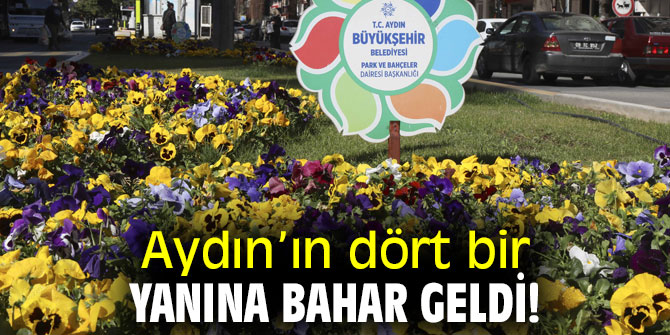Aydın’ın dört bir yanına bahar geldi!