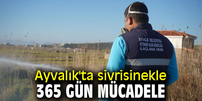 Ayvalık'ta sivrisinekle 365 gün mücadele
