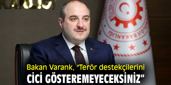 Bakan Varank, "Terör destekçilerini cici gösteremeyeceksiniz”