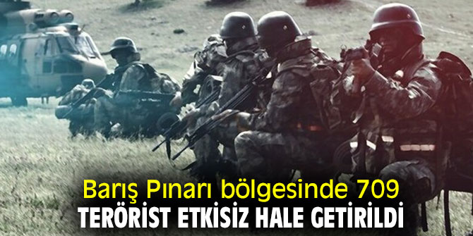 Barış Pınarı bölgesinde 709 terörist etkisiz hale getirildi