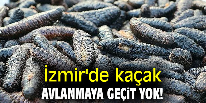 İzmir'de kaçak avlanmaya geçit yok!