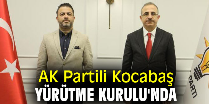 AK Partili Kocabaş, Yürütme Kurulu'nda