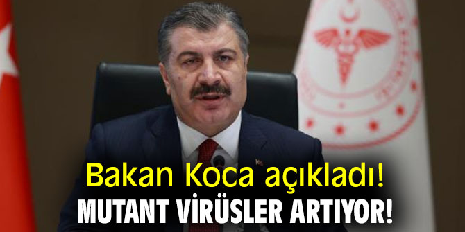 Mutant virüsler tüm dünyada olduğu gibi ülkemizde de artmaktadır''