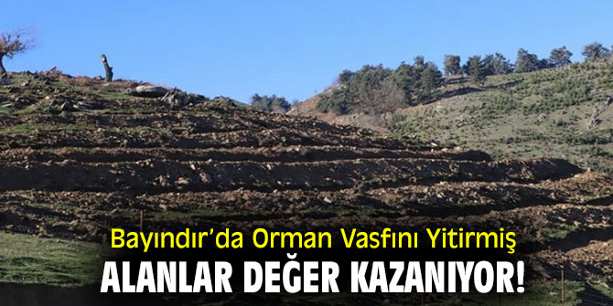 Bayındır’da Orman Vasfını Yitirmiş Alanlar Değer Kazanıyor!