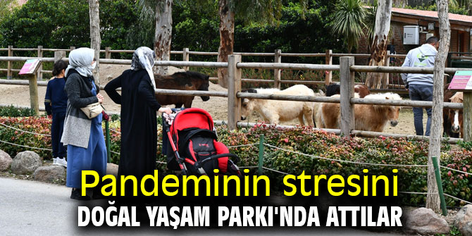 Pandeminin stresini Doğal Yaşam Parkı'nda attılar
