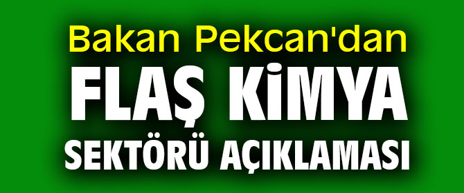 Bakan Pekcan'dan flaş Kimya sektörü açıklaması