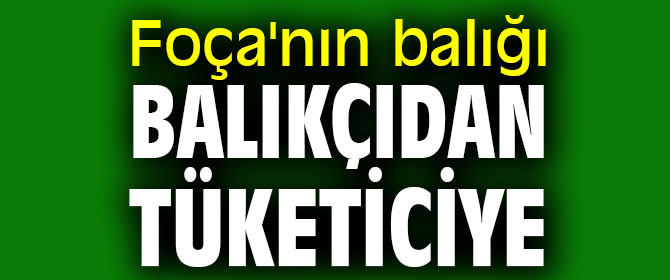 Foça'nın balığı balıkçıdan tüketiciye