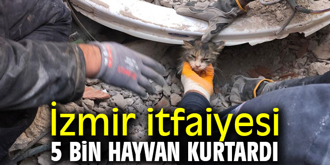 İzmir itfaiyesinden 14 ayda 5 bin hayvan kurtarma operasyonu