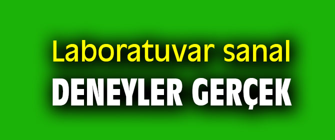 İstinye Üniversitesi'nde Laboratuvar sanal, deneyler gerçek