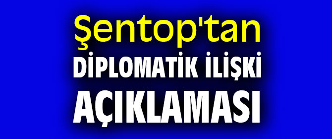 Şentop'tan diplomatik ilişki açıklaması