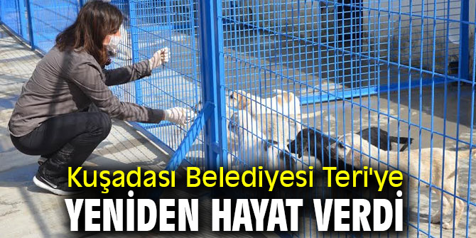Kuşadası Belediyesi Teri'ye yeniden hayat verdi