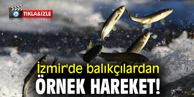 İzmir'de balıkçılardan örnek hareket!