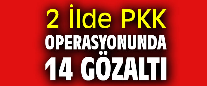 2 İlde PKK operasyonunda 14 gözaltı