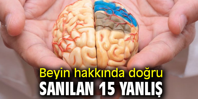Beyin hakkında doğru sanılan 15 yanlış