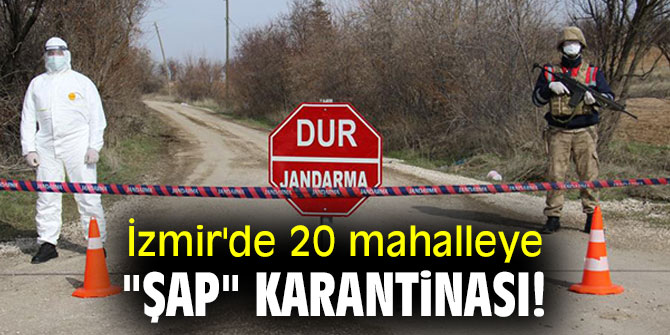 İzmir'de 20 mahalleye "şap" karantinası! Çalışma başlatıldı