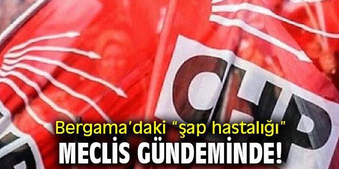 Bergama’daki “şap hastalığı” Meclis gündeminde!