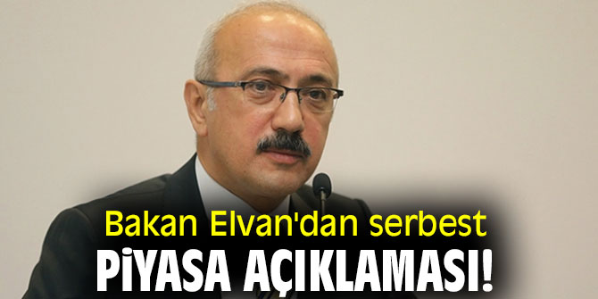 Bakan Elvan'dan serbest piyasa açıklaması!