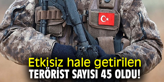 Etkisiz hale getirilen terörist sayısı 45 oldu!