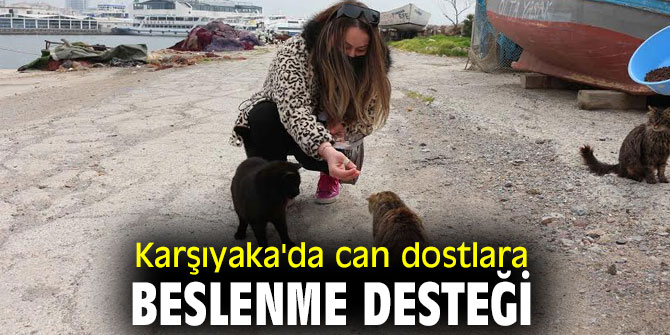 Karşıyaka'da can dostlara beslenme desteği 