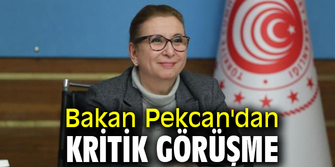 Bakan Pekcan'dan kritik görüşme