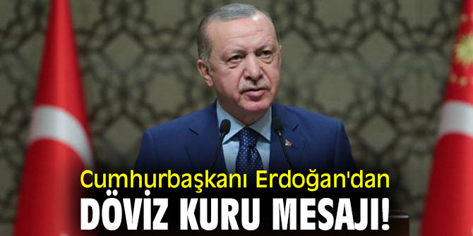 Cumhurbaşkanı Erdoğan'dan döviz kuru açıklaması