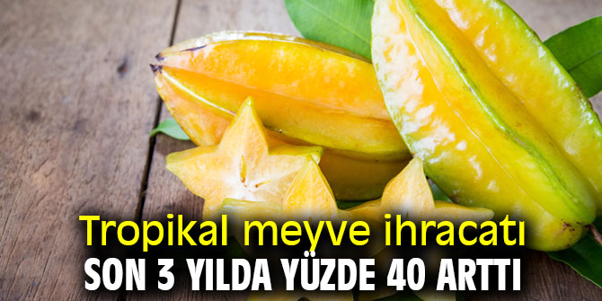 Türkiye’nin tropikal meyve ihracatı 7 milyon dolara koşuyor