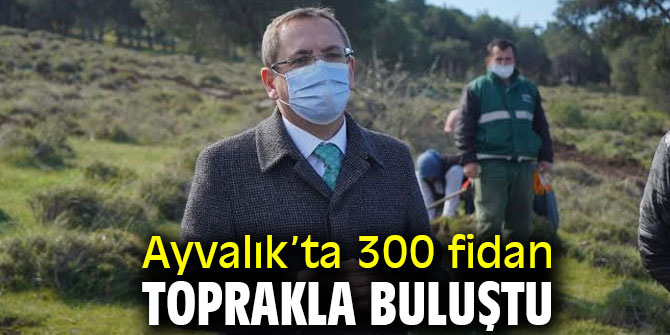 Ayvalık’ta 300 fidan toprakla buluştu