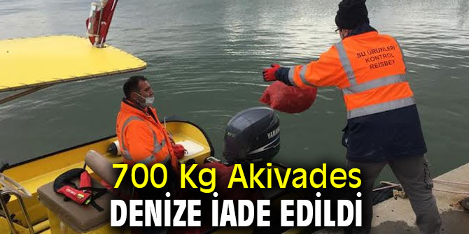 700 Kg Akivades Denize İade Edildi