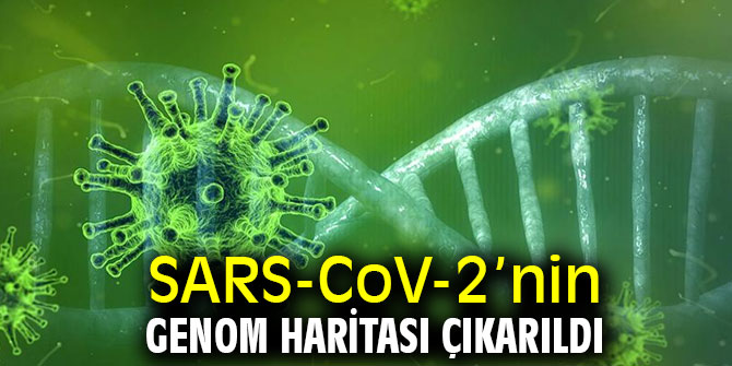 SARS-CoV-2’nin Genom Haritası Çıkarıldı