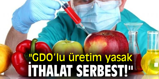 "GDO’lu üretim yasak, ithalat serbest!"