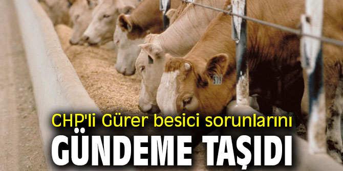 CHP'li Gürer besici sorunlarını gündeme taşıdı
