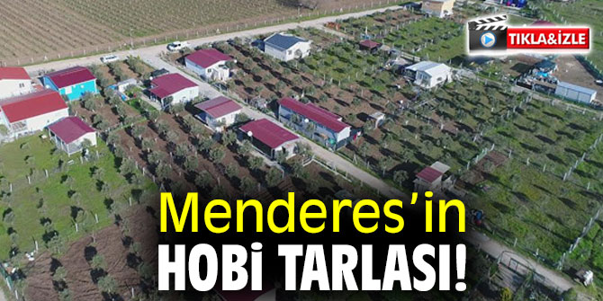 MENDERES’İN HOBİ TARLASI!
