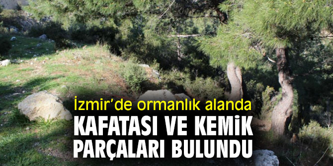 Ormanlık alanda kafatası ve kemik parçaları bulundu