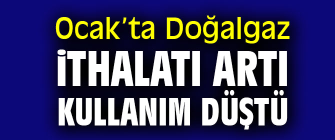 Ocak'ta doğalgaz ithalatı artı kullanım düştü