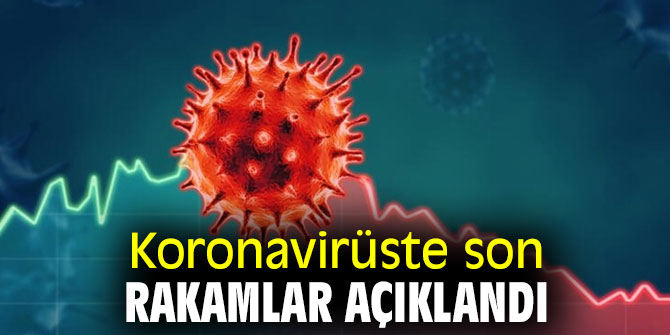 29.058 koronavirüs vakası tespit edildi