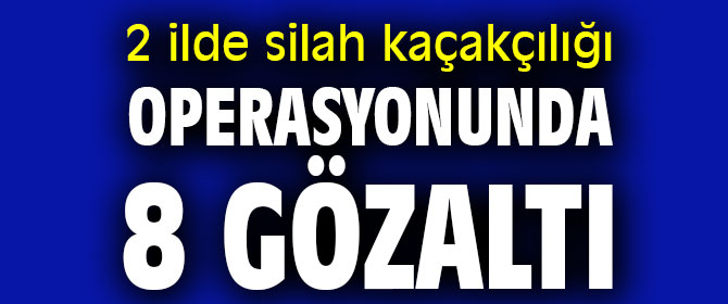2 ilde silah kaçakçılığı operasyonunda 8 gözaltı