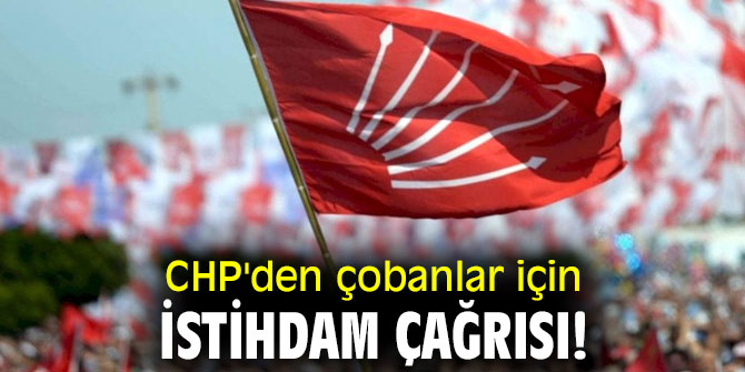 CHP'den çobanlar için istihdam çağrısı!