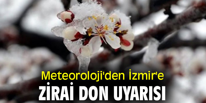 Meteoroloji'den İzmir'e zirai don uyarısı