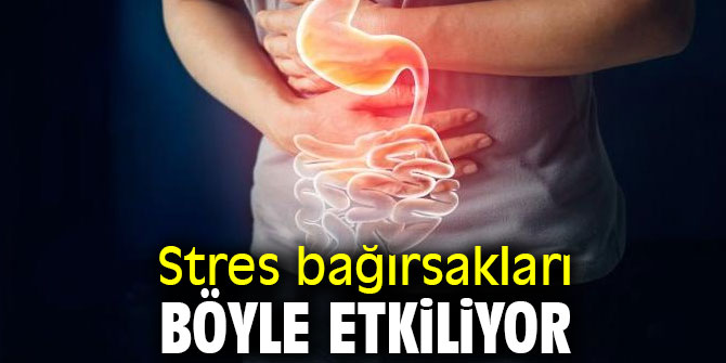 Stres bağırsakları böyle etkiliyor