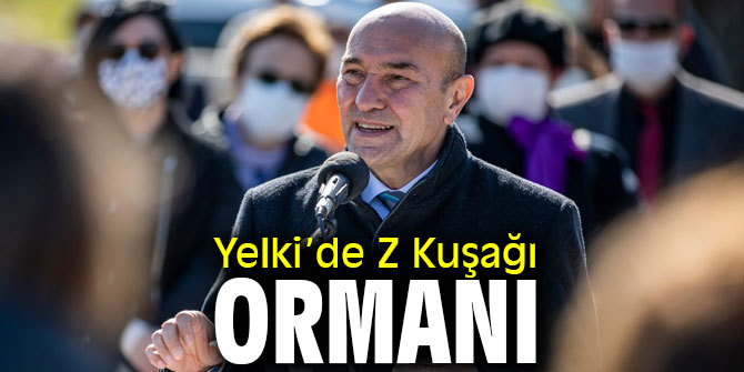 Yelki’de Z Kuşağı Ormanı