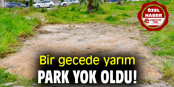 Bir gecede yarım park yok oldu!