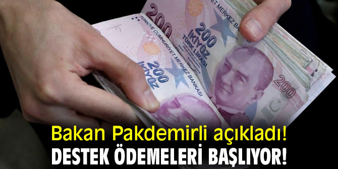 Bakan Pakdemirli açıkladı! Destek ödemeleri başlıyor!