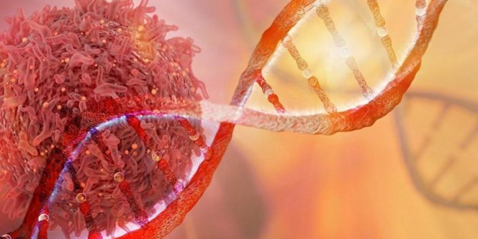 Vitamin İlaçlarının Kansere Karşı Bir Etkisi Var mıdır?