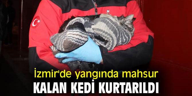 İzmir'de yangında mahsur kalan kedi kurtarıldı