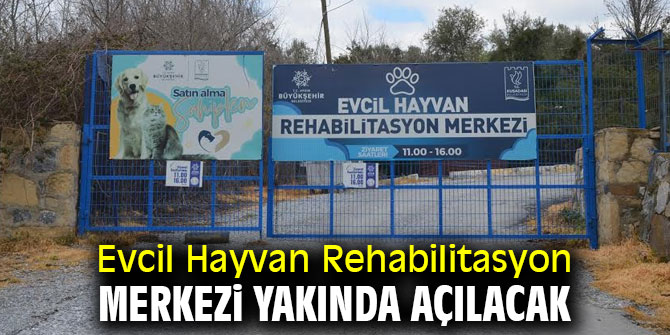 Evcil Hayvan Rehabilitasyon Merkezi yakında açılacak