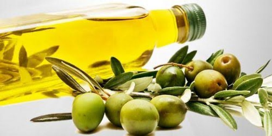 "Yeter ki zeytin ağacının kökleri eksik olmasın"